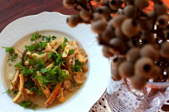 65977_446966513393_2607774_n-1