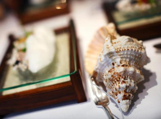 544246_10150884410788394_1042570437_n