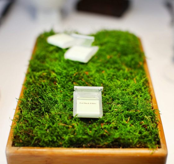 546491_10150884409168394_825377262_n