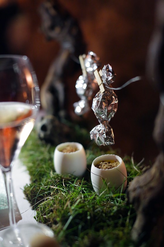 zemono_tolsta_nutrija01