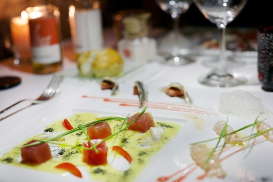 zemono_tolsta_nutrija04