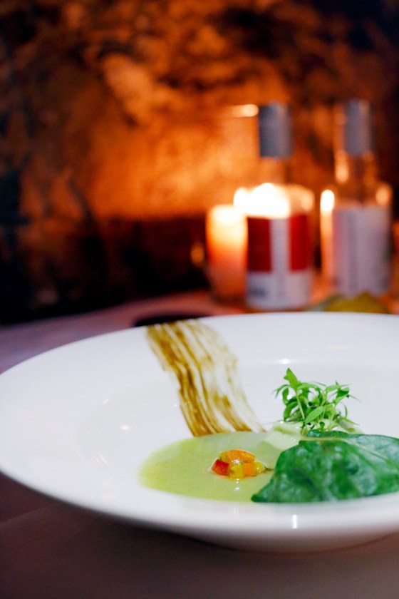 zemono_tolsta_nutrija06