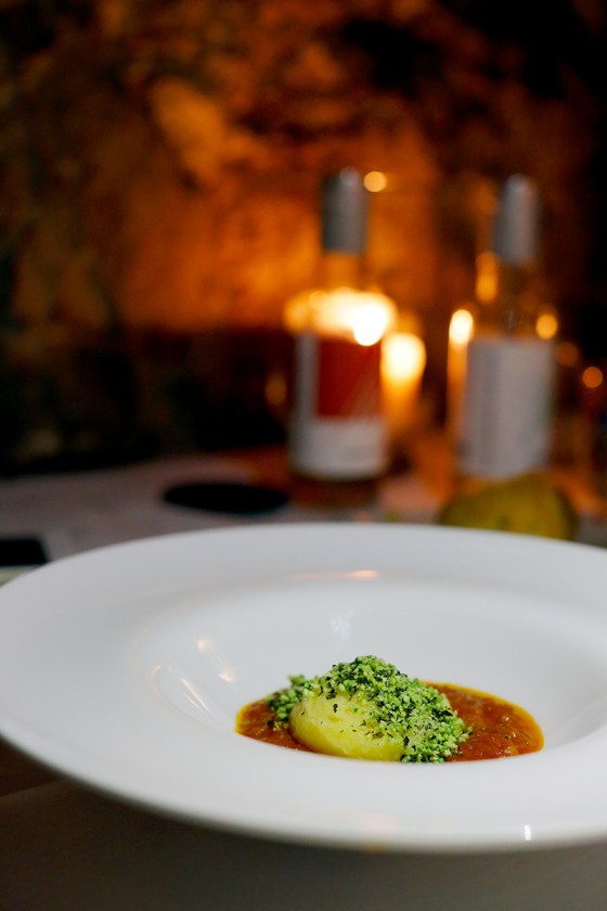 zemono_tolsta_nutrija07