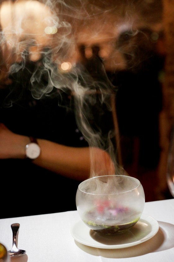 zemono_tolsta_nutrija09