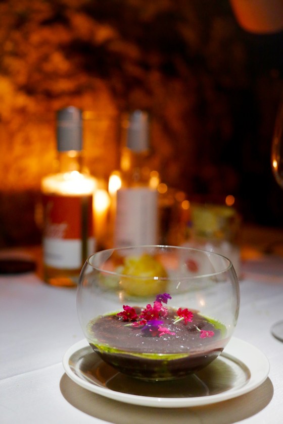 zemono_tolsta_nutrija10