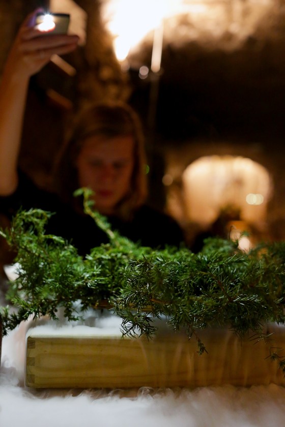 zemono_tolsta_nutrija14