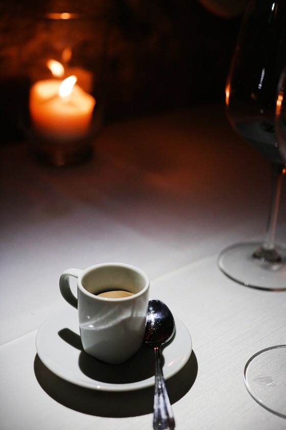 zemono_tolsta_nutrija16